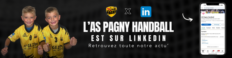 AS PAGNY HANDBALL LINKEDIN